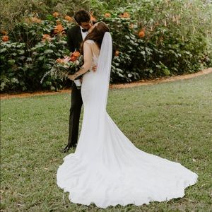 Pronovias Vicenta Wedding Dress